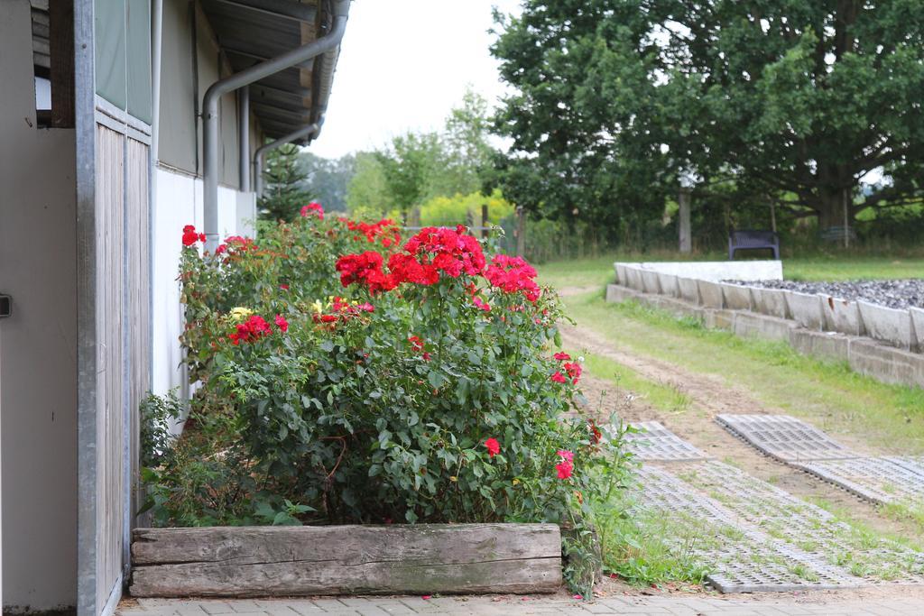 Ferienwohnungen In Den Wiesen Oranienburg Exterior photo